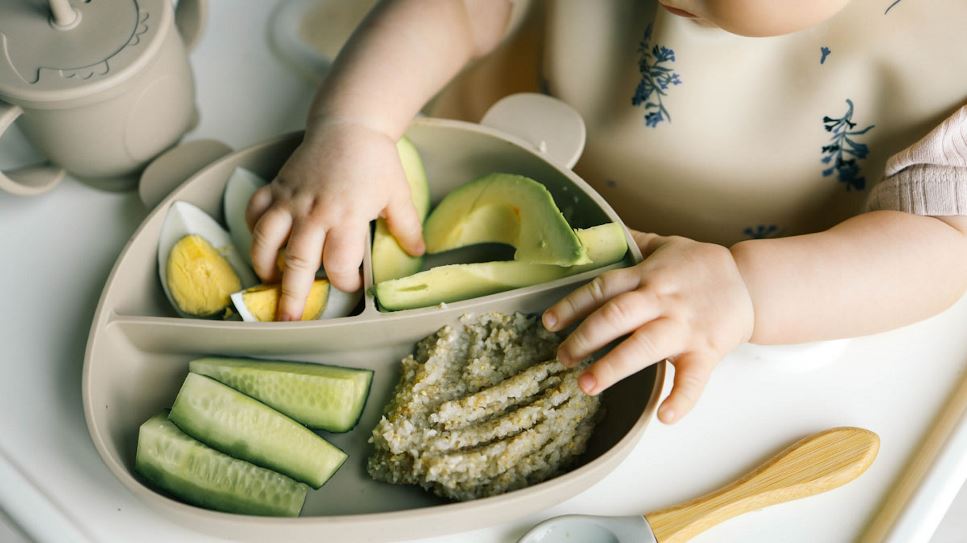 Close-up of baby or toddler's hands grabbing at food in a silicone divided plate. Plate has slices of avocado and zucchini, a hard boiled egg that's been quartered, and a small portion of oatmeal.